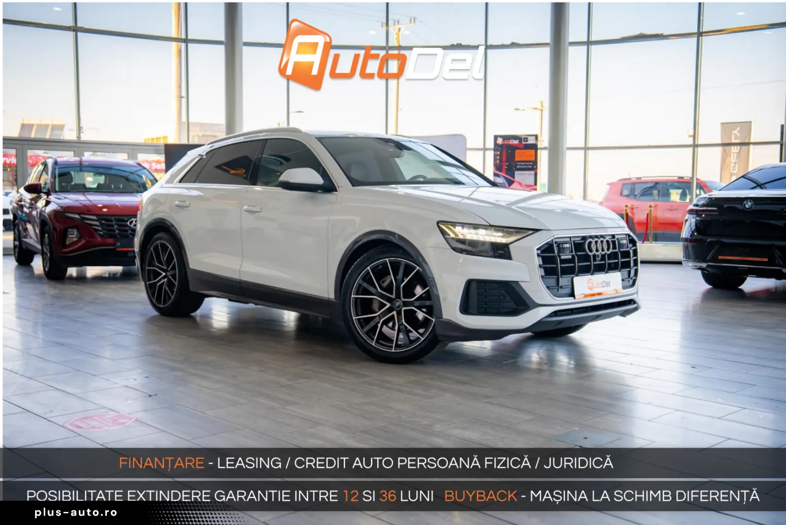 Audi Q8 50 TDI MildHybrid