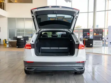 Audi Q8 50 TDI MildHybrid