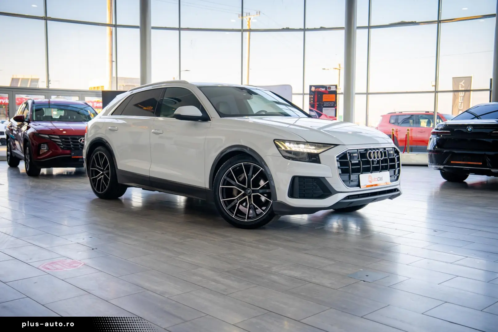 Audi Q8 50 TDI MildHybrid