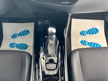 C-HR Hybrid Team D