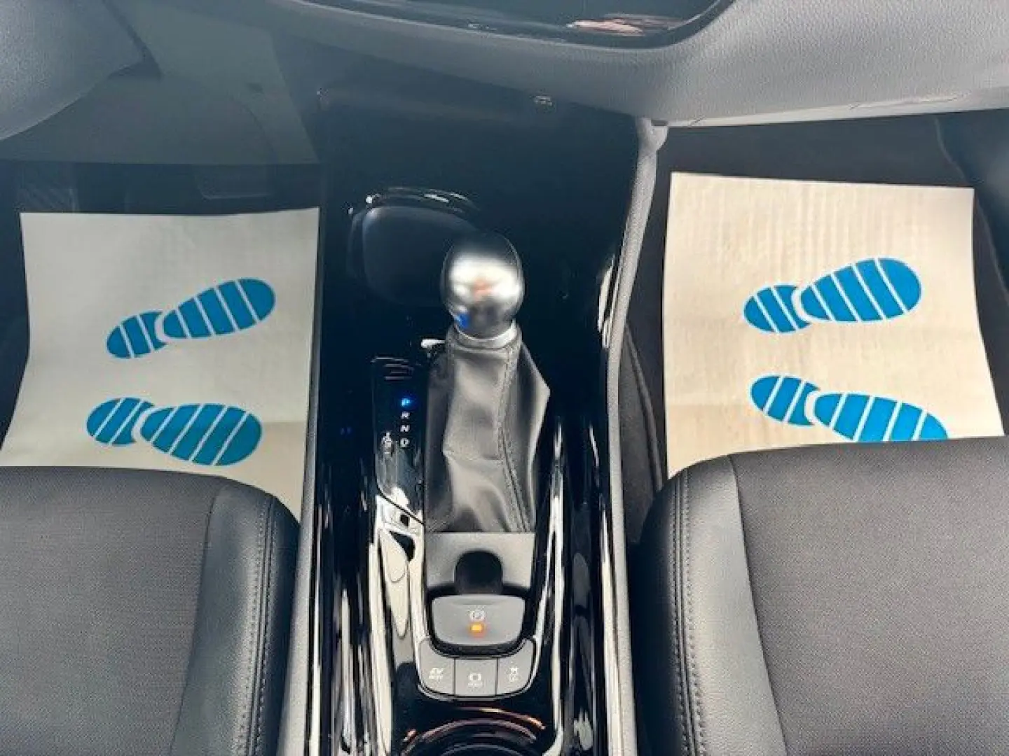 C-HR Hybrid Team D