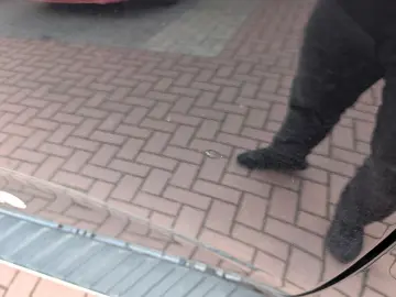 Ranger Wildtrak 3.0 l EcoBlue Auto.