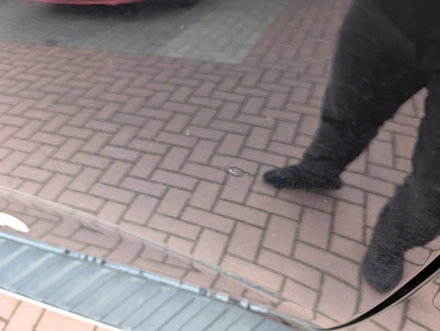 Ranger Wildtrak 3.0 l EcoBlue Auto.