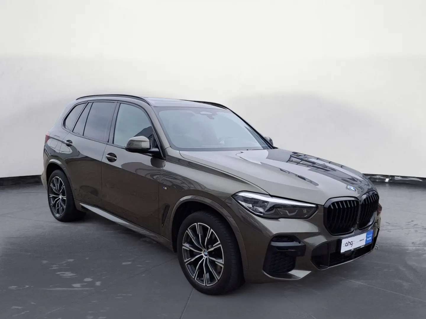 X5 xDrive30d M Sportpaket Sport Aut. Panorama