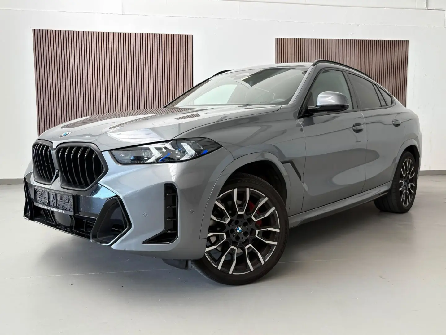 X6 X Drive  M Sport Pro Pano  22 Zoll