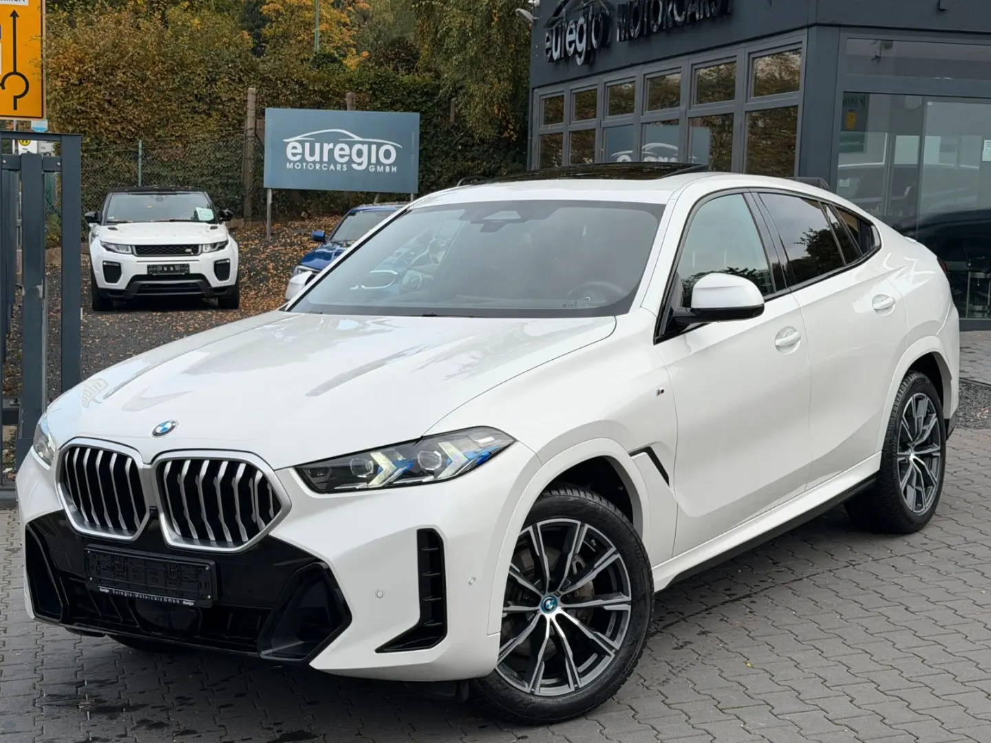 X6 30 d xDrive Head Up - Panorama -M Sportpaket