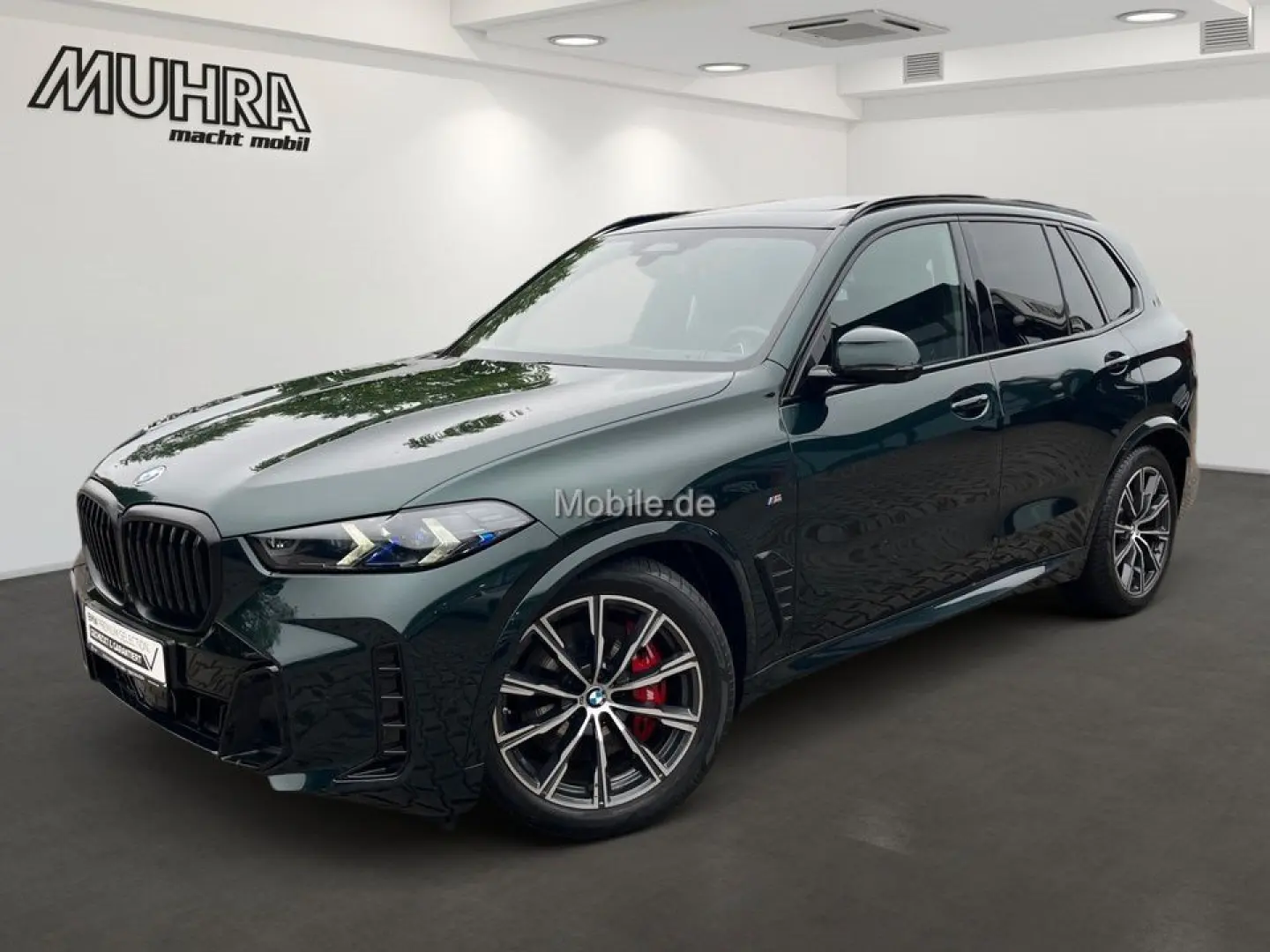 X5 xDrive30d M Sport Individual 2-Achs Pano Sky!