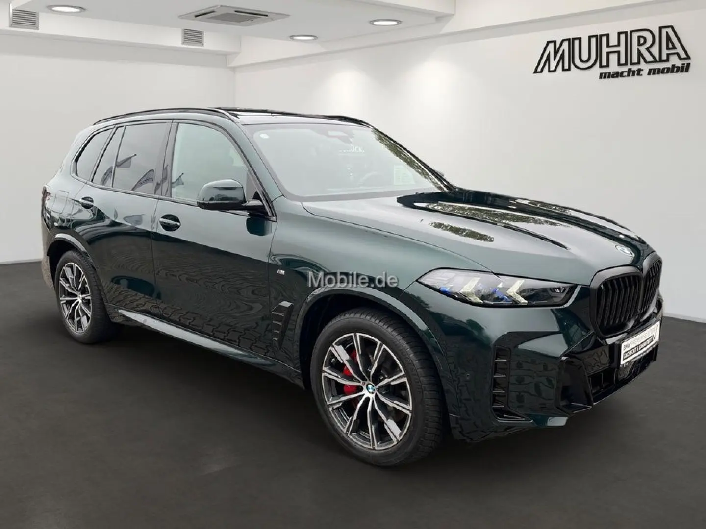 X5 xDrive30d M Sport Individual 2-Achs Pano Sky!