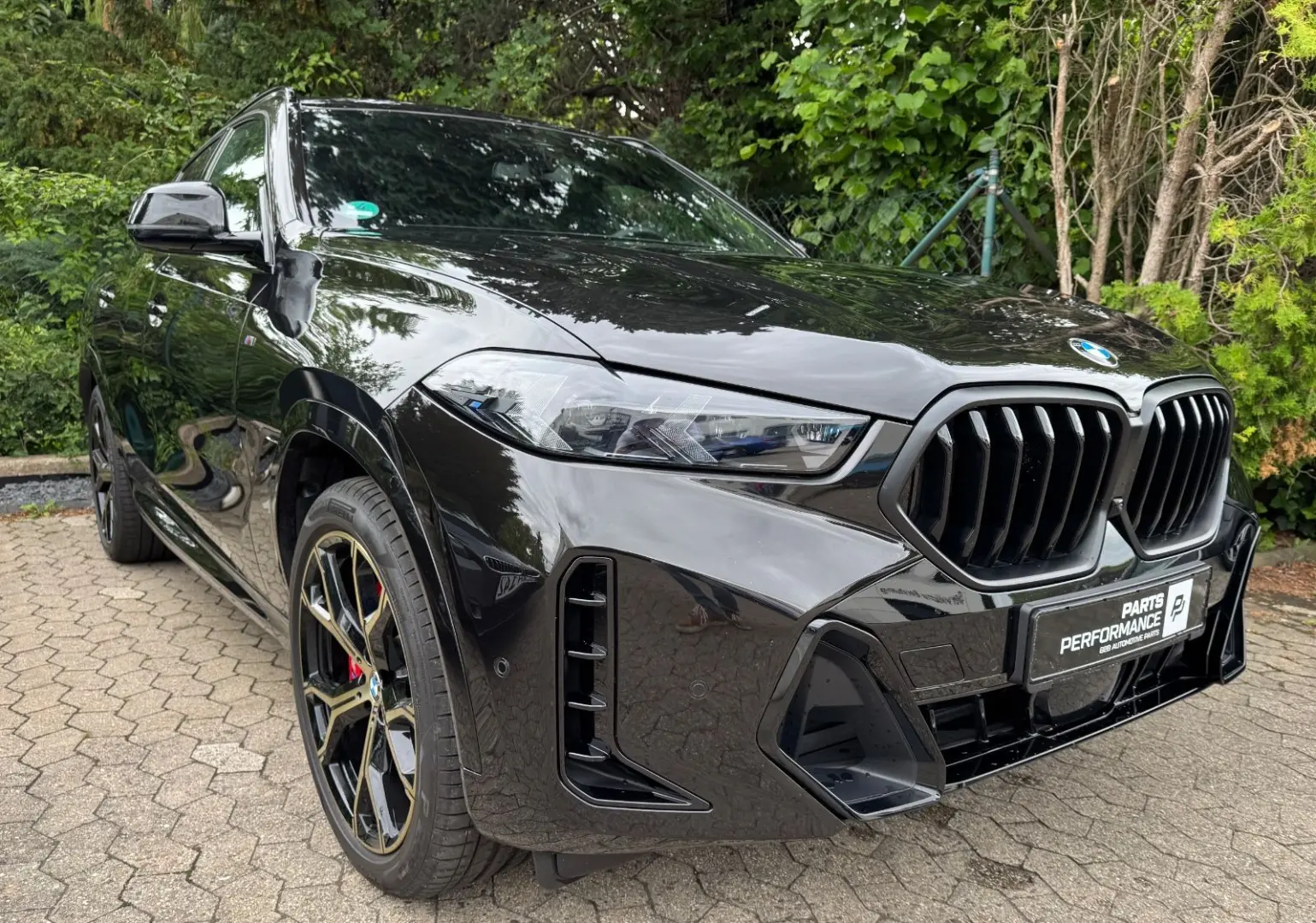 X6 40d Ind Luft Mass. Pro AHK Pano Voll