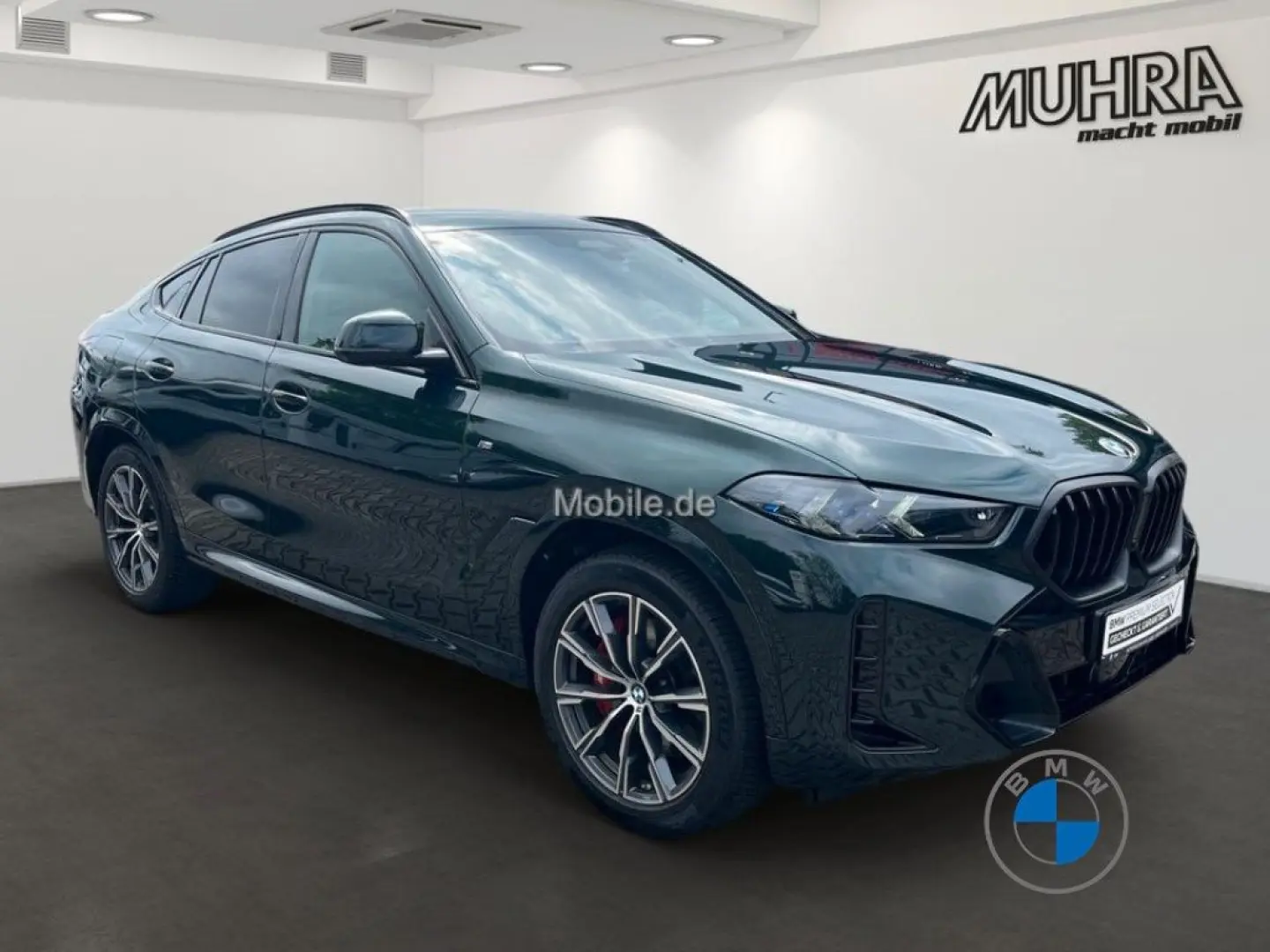 X6 xDrive40d M Sport Pro 2-Achs Pano Sthzg. AHK