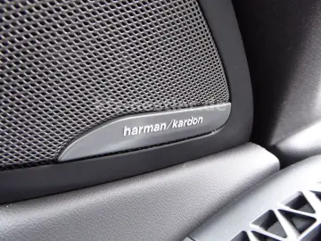 X6 40d M Sport Pro Pano Luft HUD 22Zoll AHK