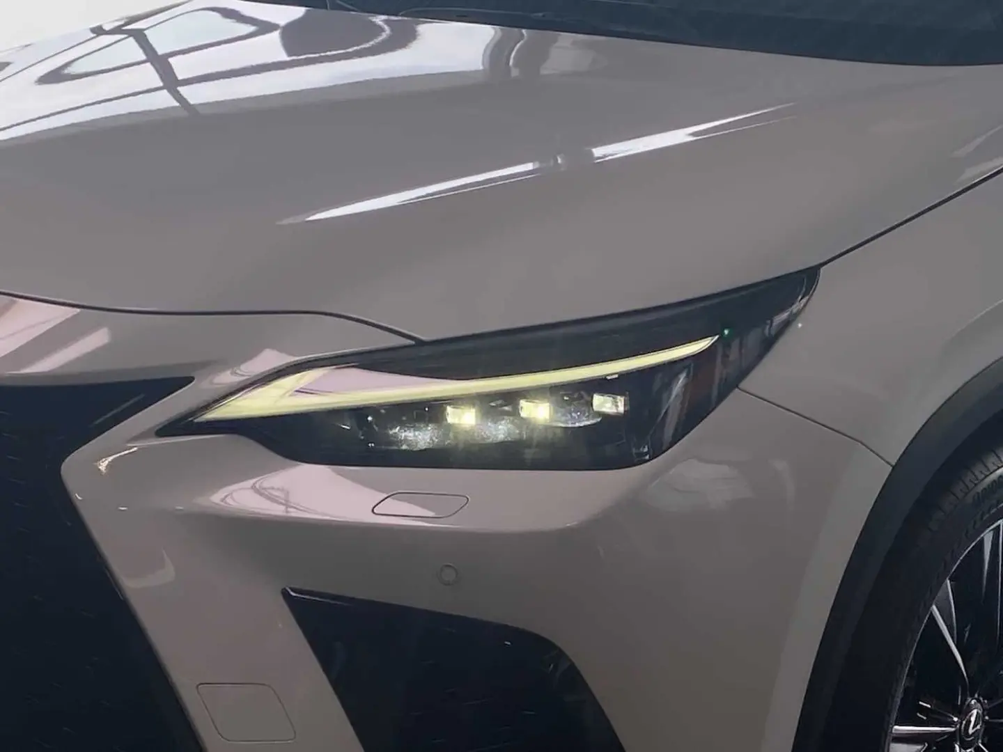 NX 450h  Plug-In Hybrid E-FOUR SHZ LED KLIMA