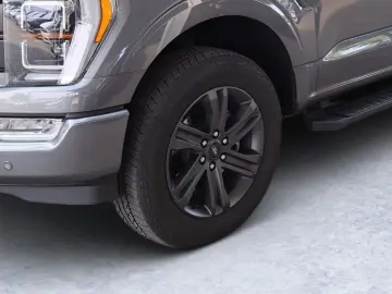 F-150 5 0L Ti-VCT V8 SuperCrew Lariat FX4 EU