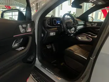 GLE 350 de 4Matic Coupe AMG  Alpingrau Pano Burm