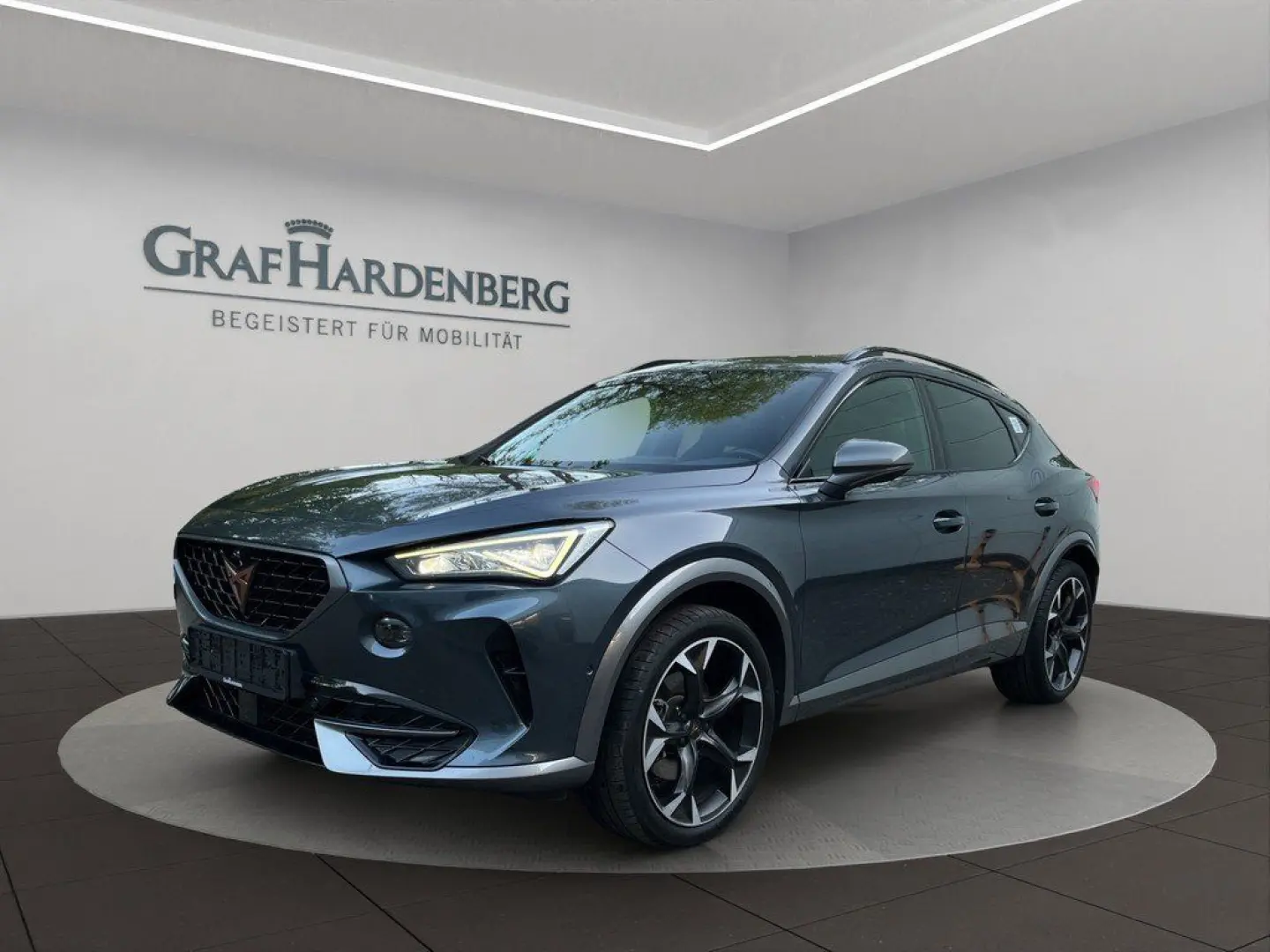 Formentor 2.0 TDI 4Drive DSG Pano ACC 360  AHK
