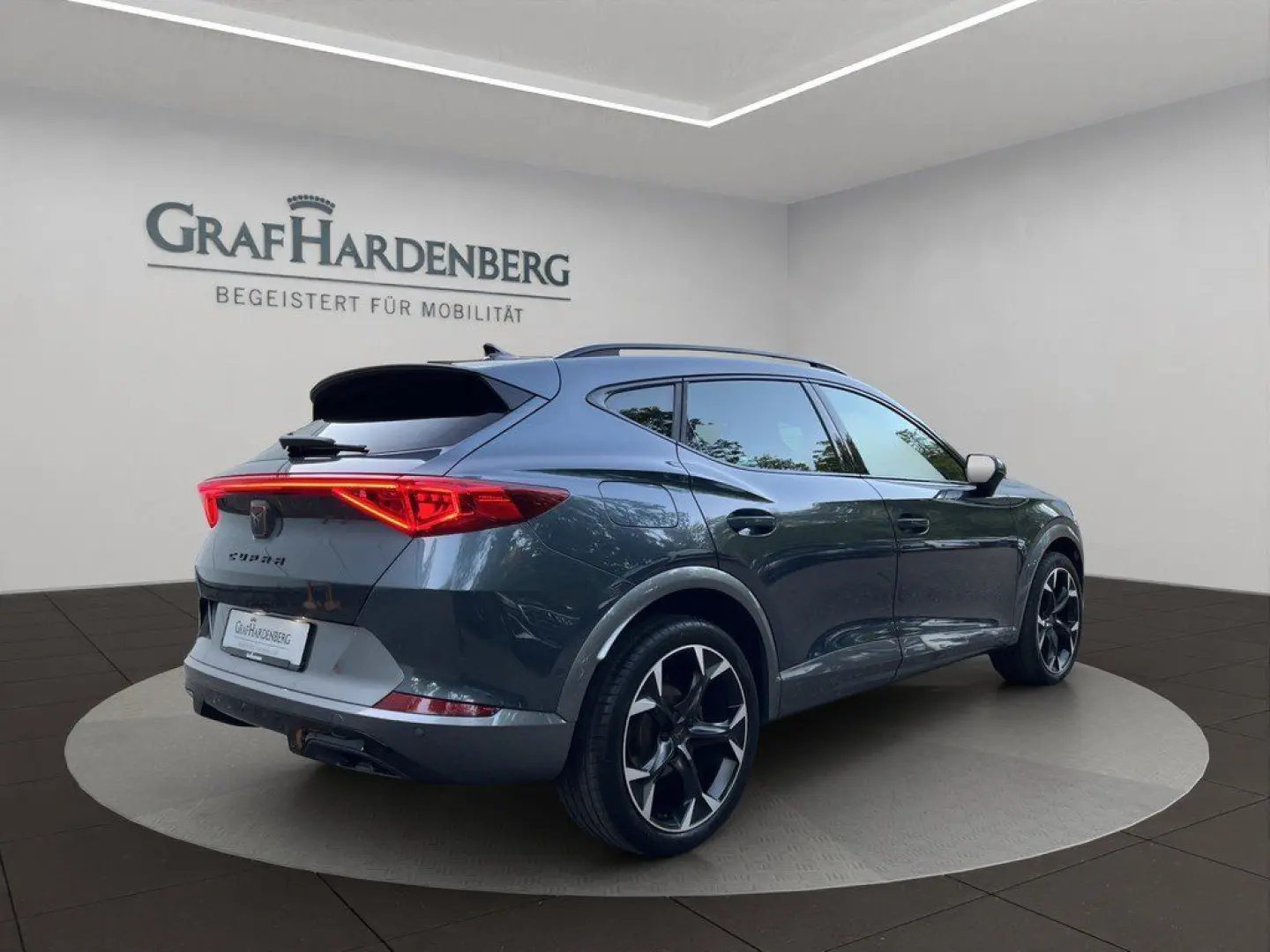 Formentor 2.0 TDI 4Drive DSG Pano ACC 360  AHK