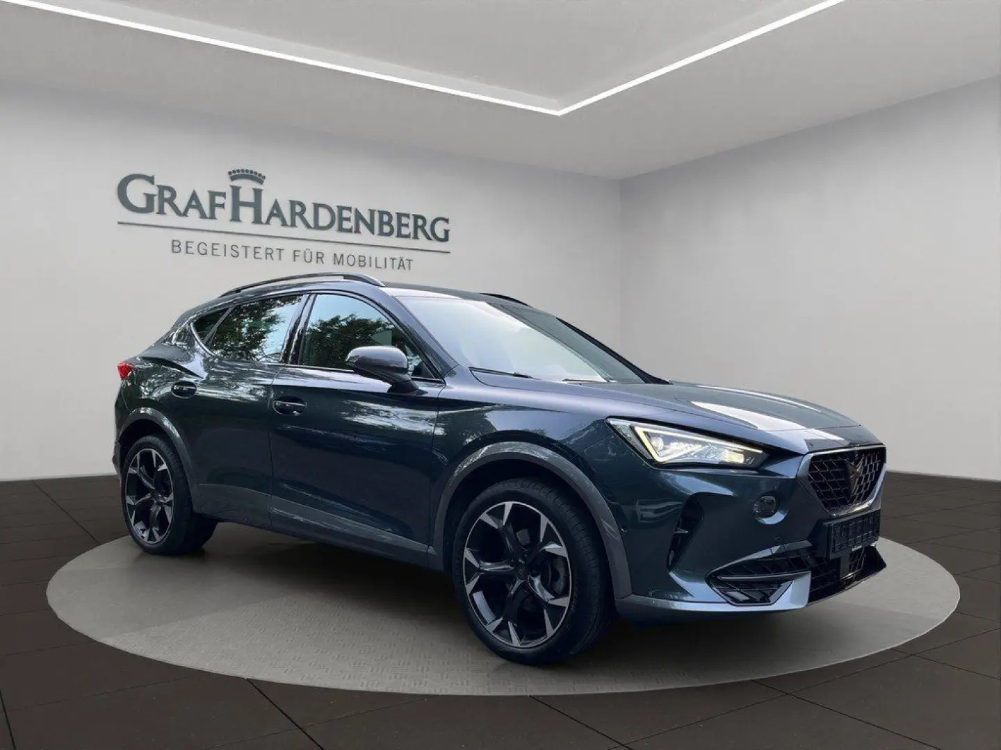 Formentor 2.0 TDI 4Drive DSG Pano ACC 360  AHK
