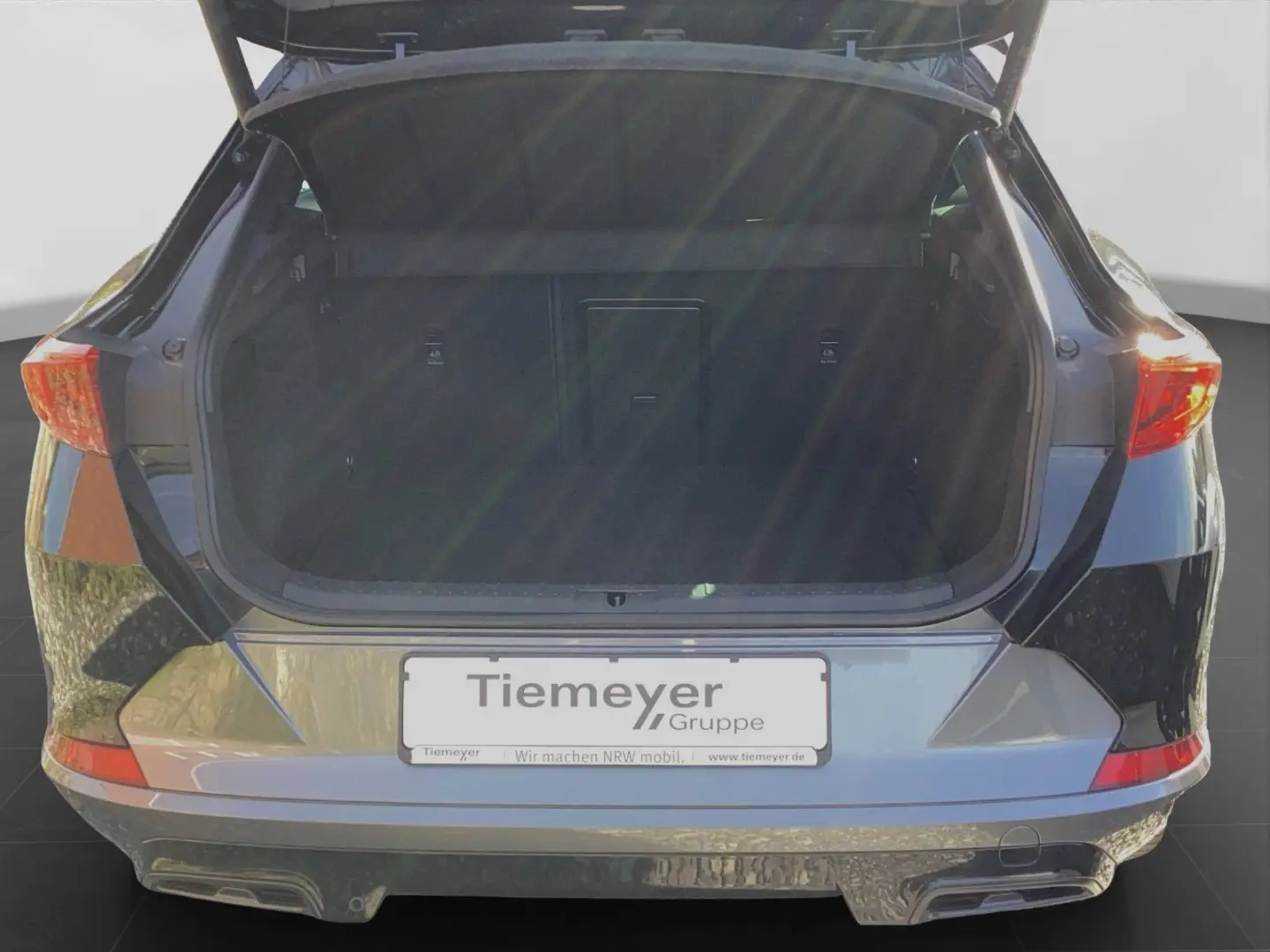 Formentor 2.0 TDI 4D LM19 PANO BEATS eKLAPPE 360