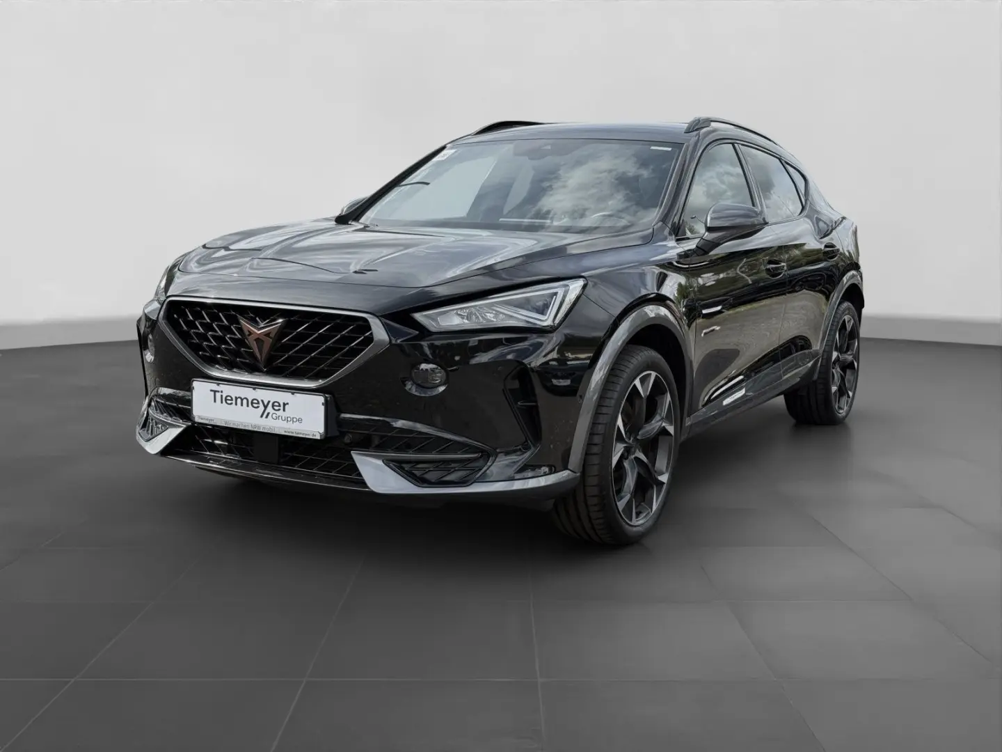 Formentor 2.0 TDI 4M LM19 NAVI  KAMERA PARKLENK