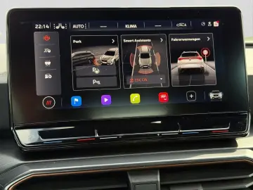 Formentor 2.0 TDI 4M LM19 NAVI  KAMERA PARKLENK