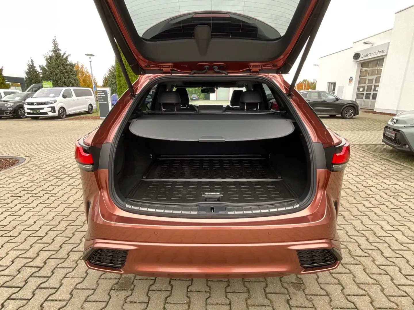 RX 500h F Sport