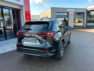 NX 350h