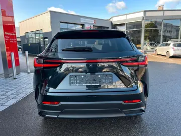NX 350h