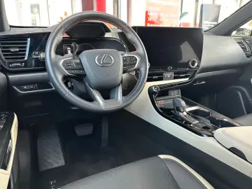 NX 350h Executive Line NAVI LEDER 360 KAMERA LED