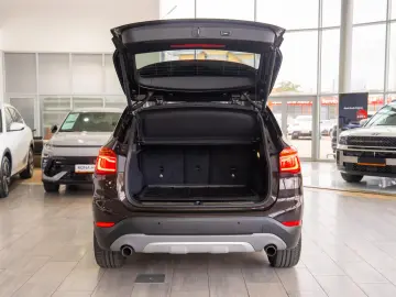 BMW X1 xDrive20i Steptronic  xLine