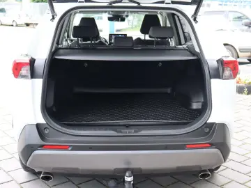 RAV 4 Hybrid 4x2 Team Deutschland AHK Navi Kamer