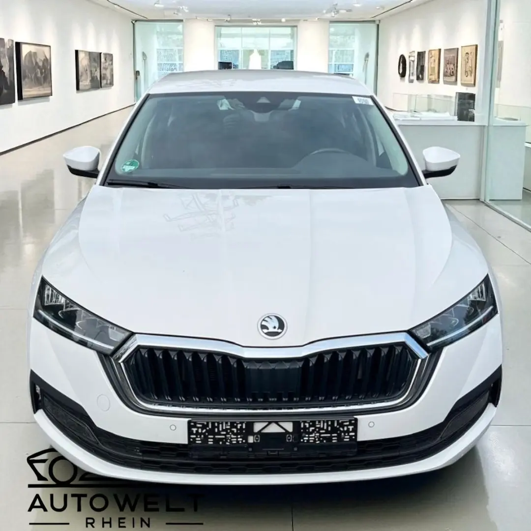 Octavia Lim. Ambition iV