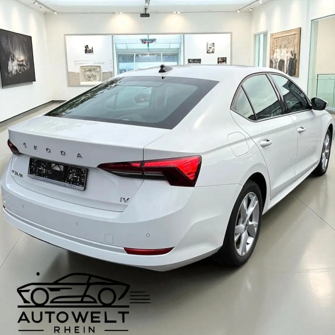 Octavia Lim. Ambition iV