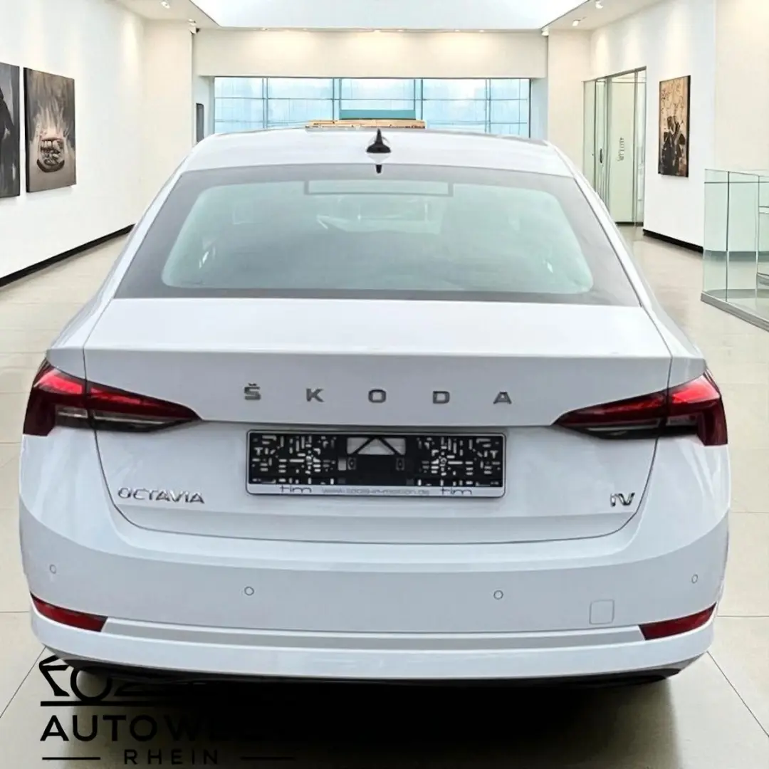 Octavia Lim. Ambition iV