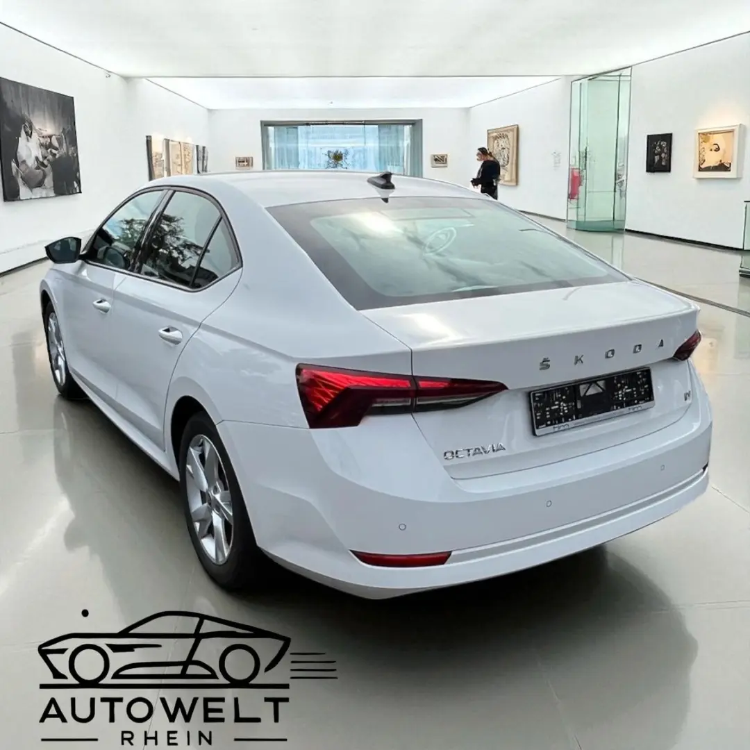 Octavia Lim. Ambition iV