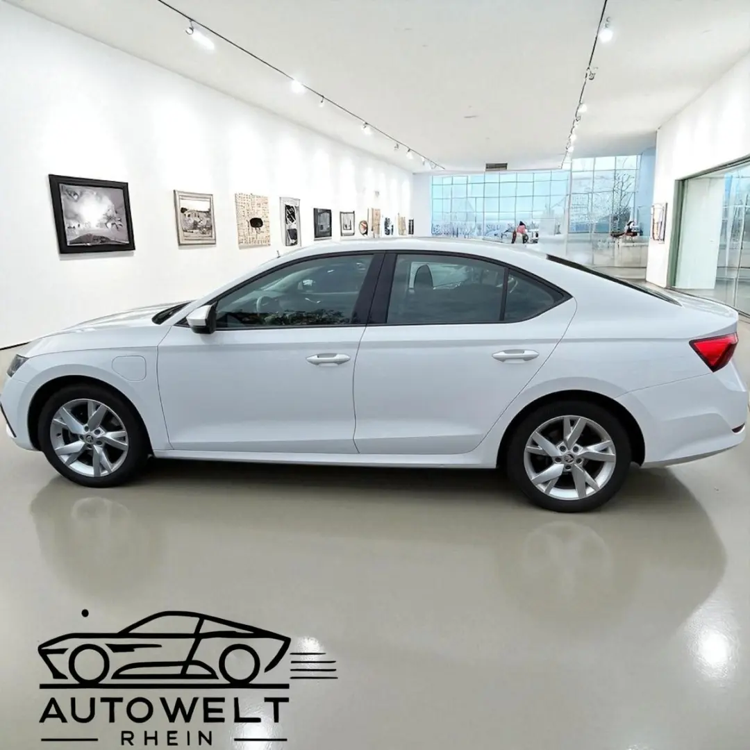 Octavia Lim. Ambition iV