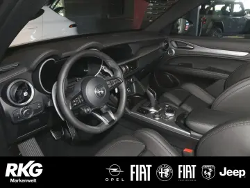 Stelvio VELOCE Q4 2.0 Turbo AHK Panorama Dach Pr