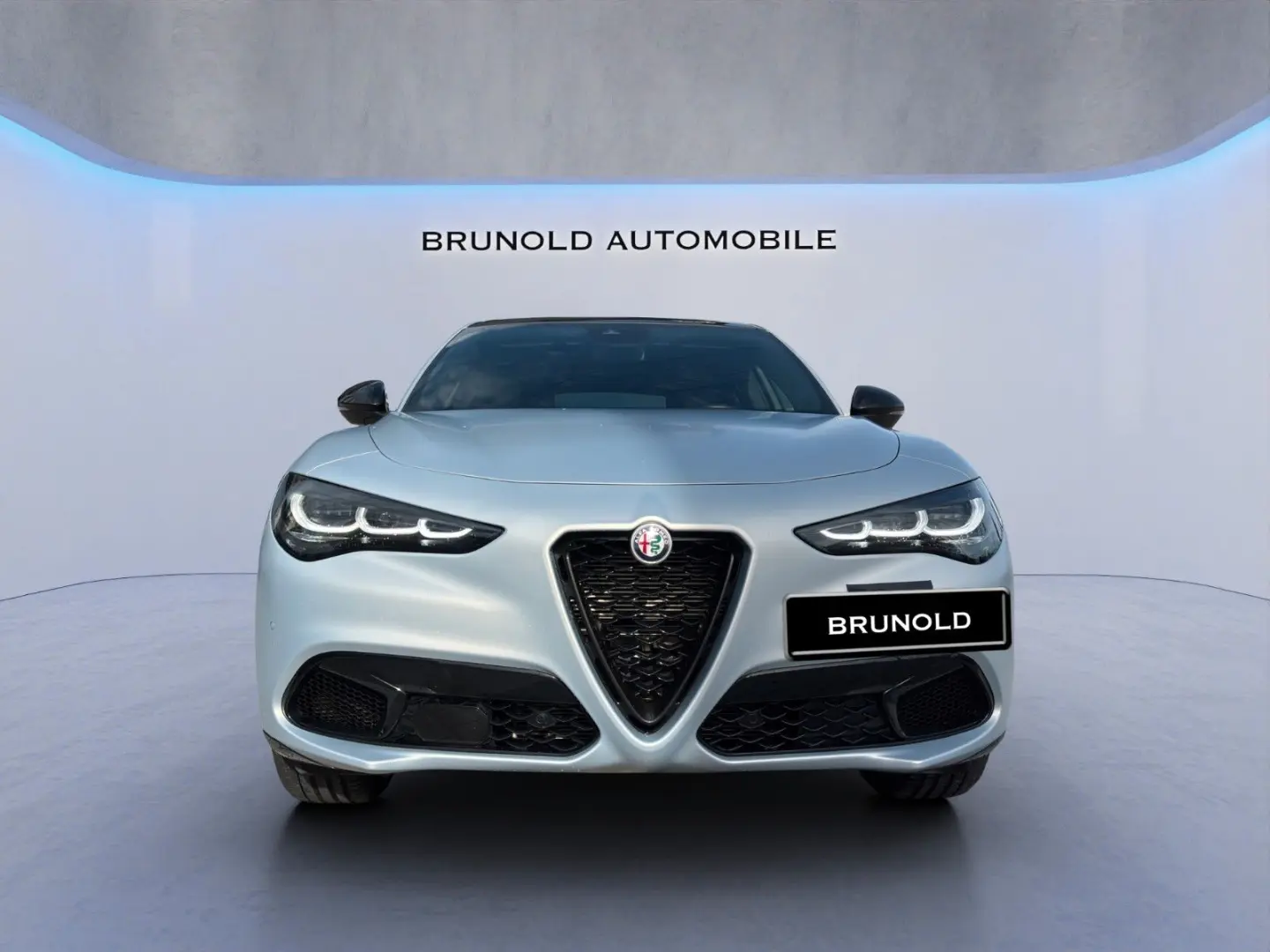 STELVIO COMPETIZIONE 2.0 TURBO  280 PS