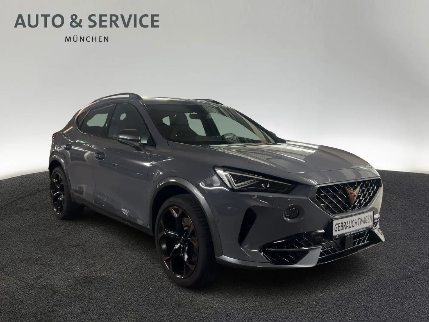 Formentor VZ 2.0 TSI 4Drive DSG  MATRIX AHK PANO