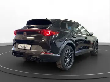 Formentor VZ Tribe Edition Pano Matrix LM 19  Na