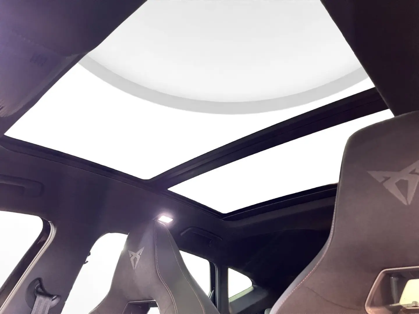 Formentor VZ Tribe Edition Pano Matrix LM 19  Na