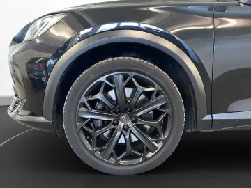 Formentor VZ Tribe Edition Pano Matrix LM 19  Na