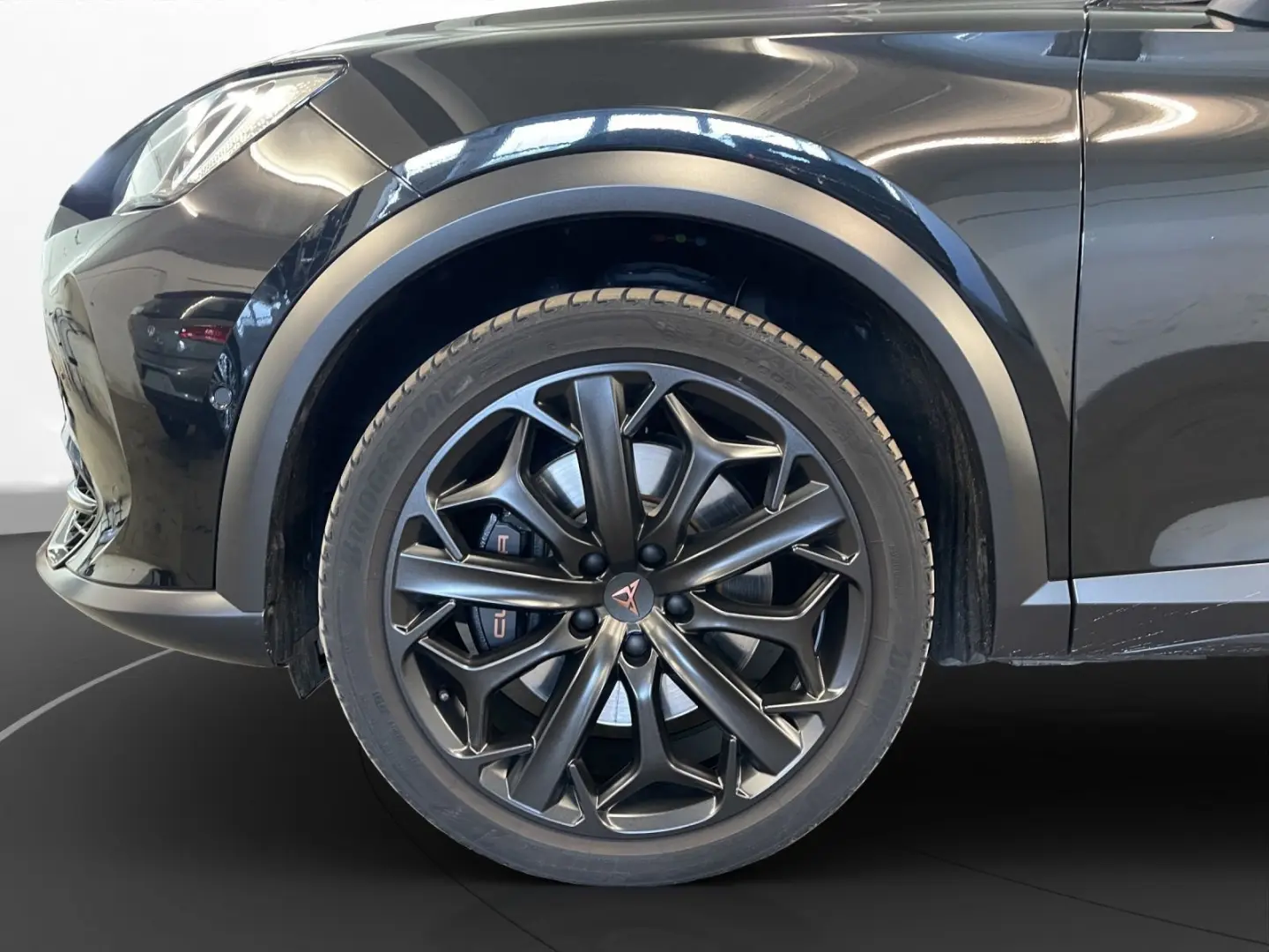 Formentor VZ Tribe Edition Pano Matrix LM 19  Na