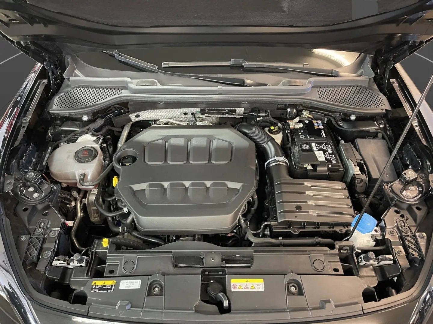 Formentor VZ Tribe Edition Pano Matrix LM 19  Na