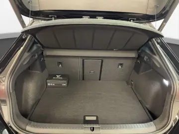 Formentor VZ Tribe Edition Pano Matrix LM 19  Na