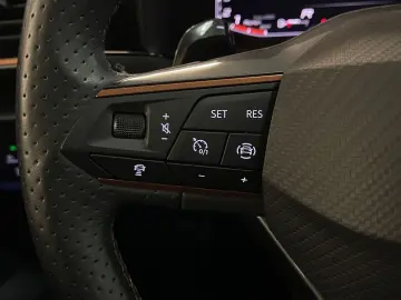 Formentor VZ Tribe Edition Pano Matrix LM 19  Na