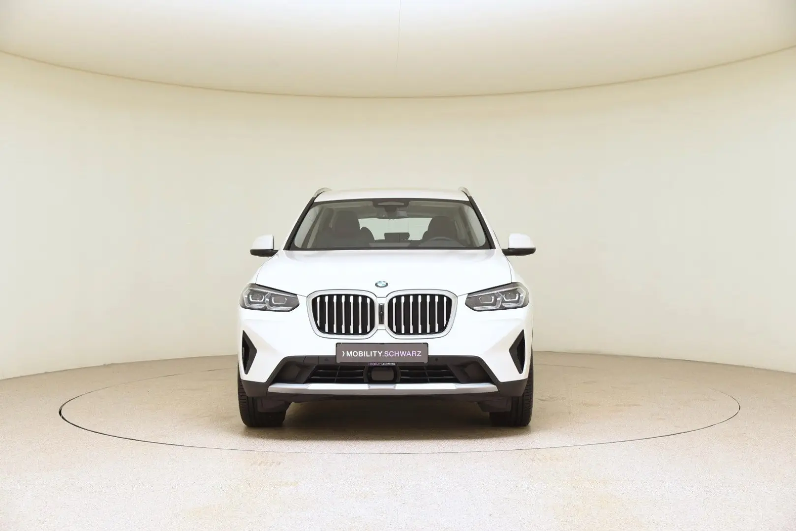 X3 xDrive30d DriveAssProf ACC HiFi Sthzg LED AHK