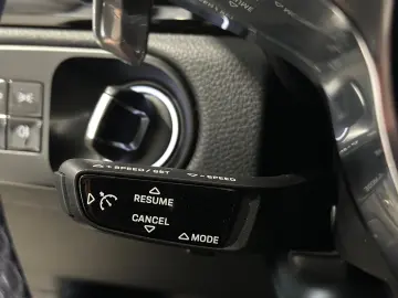 Cayenne  PDLS  Apple Tow. Tempo. Kamera DAB