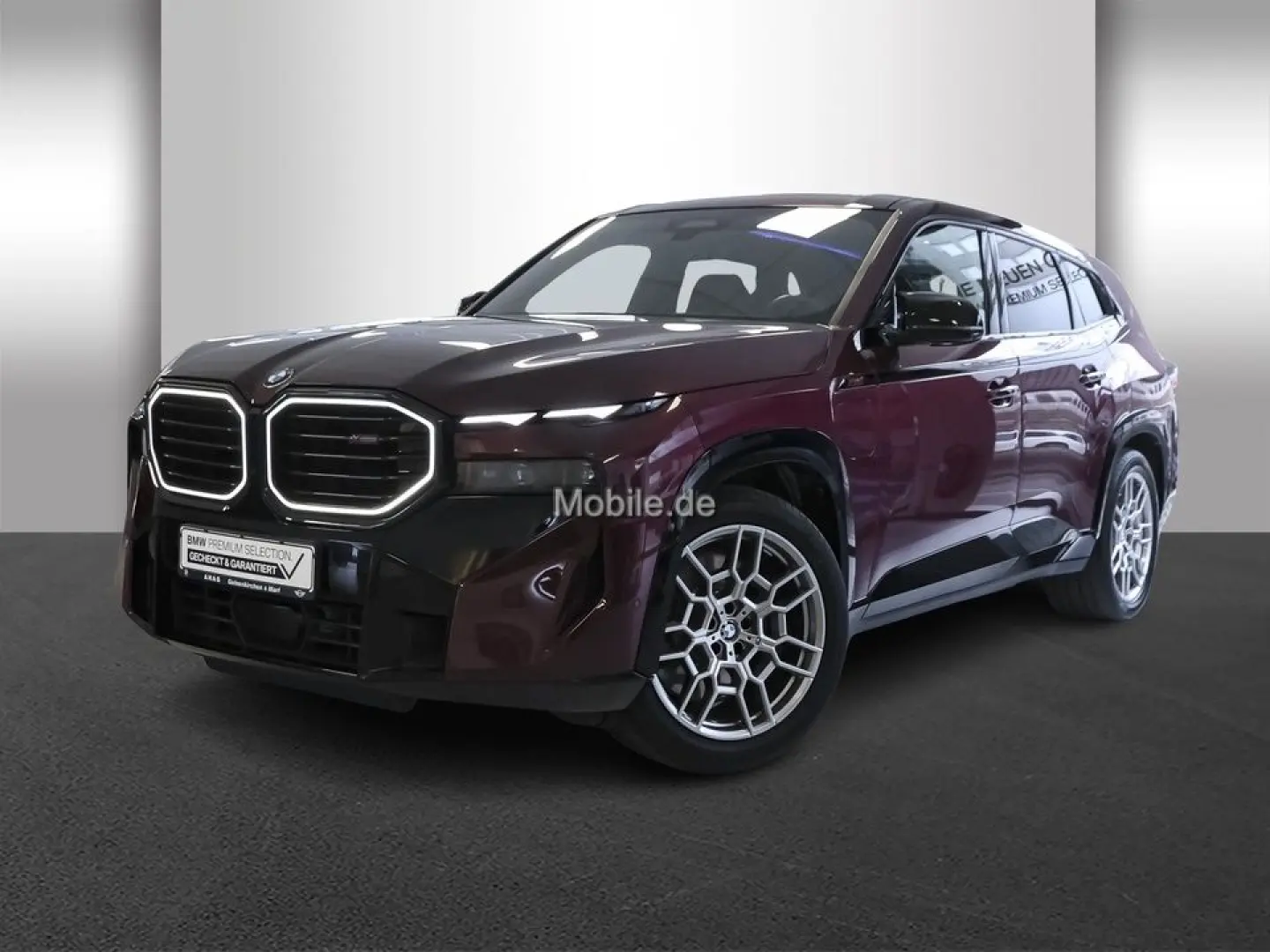 XM 4.4 Label Red Individual Lila UPE 220TEuro