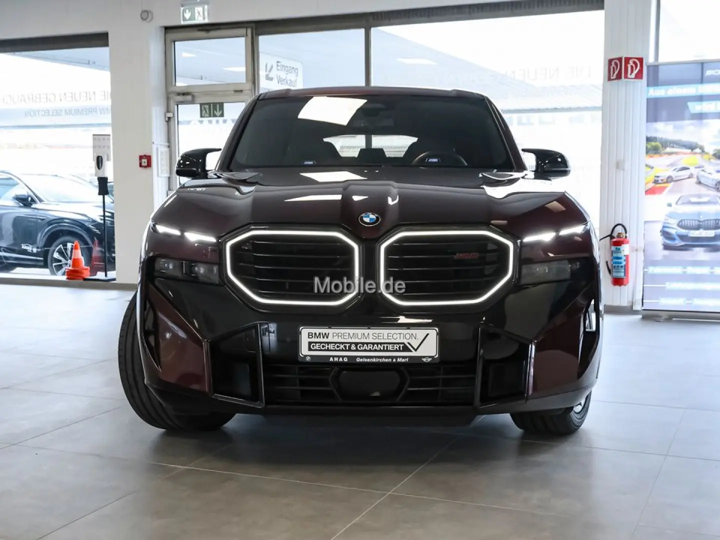 XM 4.4 Label Red Individual Lila UPE 220TEuro