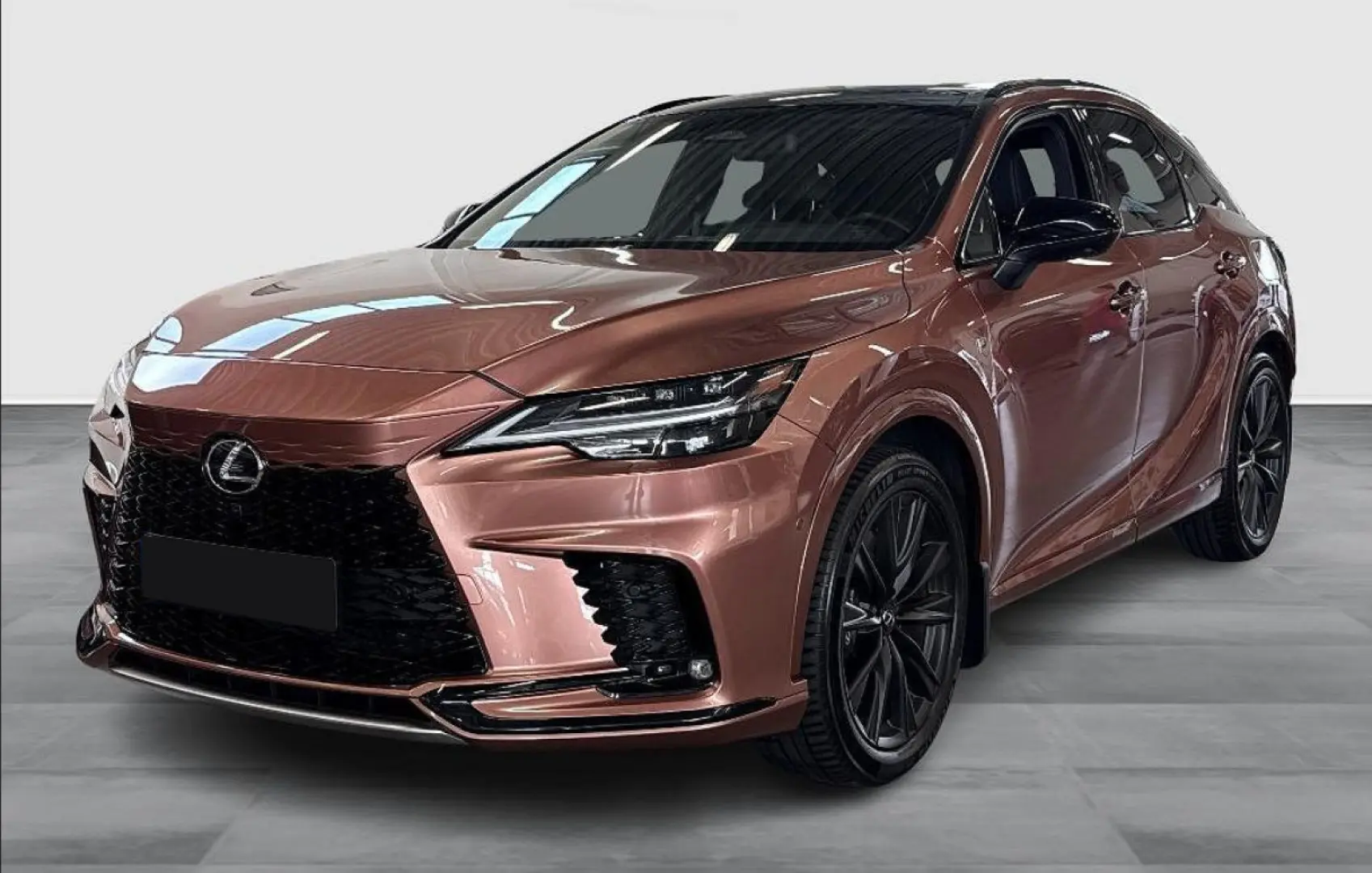 LEXUS RX 500h Luxury